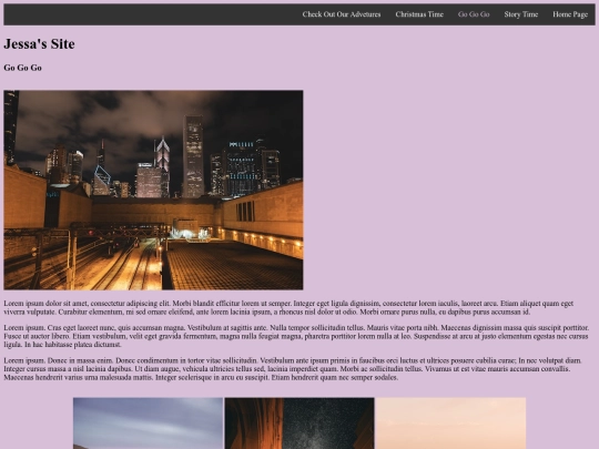 5 Page Website/GoGoGoPage screenshot