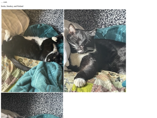 catattack screenshot