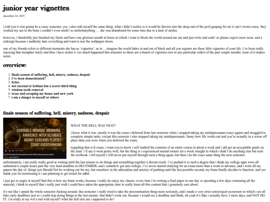 blog-homes/diary/junior-year-vignettes screenshot