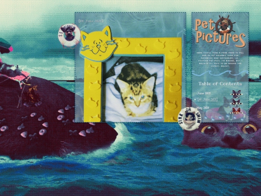 pet-posts screenshot