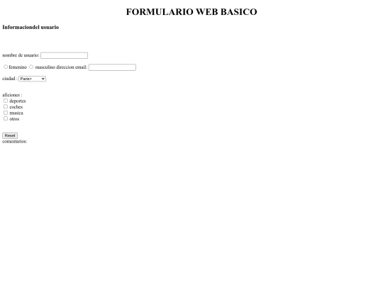 formulario screenshot
