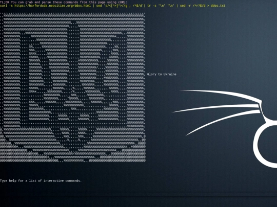 ddos screenshot