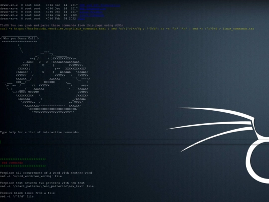 linux_commands screenshot