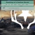 hwyroadkill.yorniq.xyz avatar