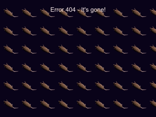not_found screenshot