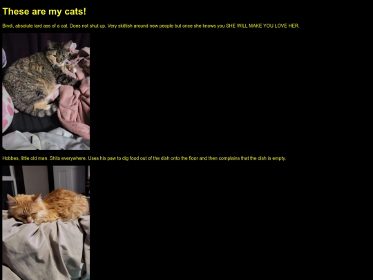 pets screenshot