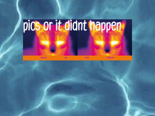 pics2.0 screenshot
