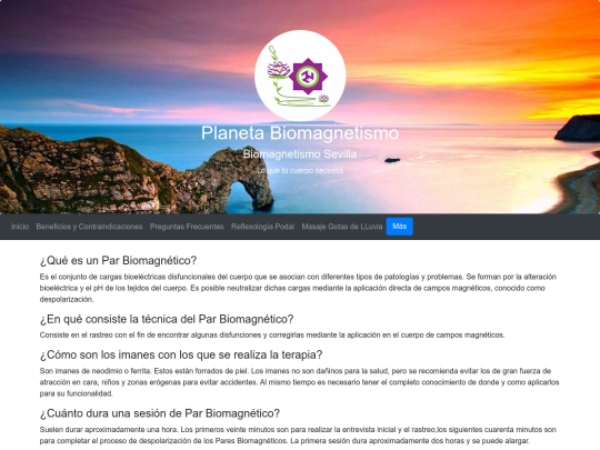 Web Biomagnetismo/Preguntas screenshot