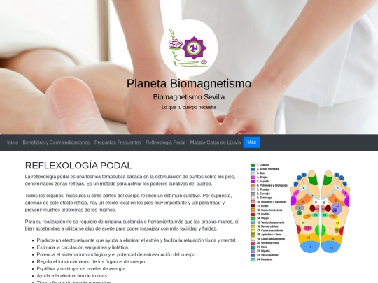 Web Biomagnetismo/Reflexología screenshot