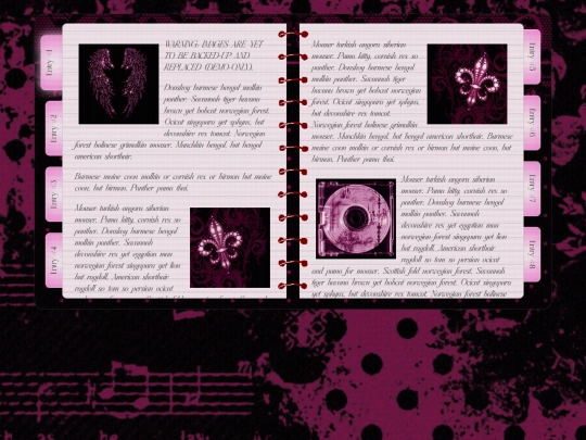 pages/diary screenshot