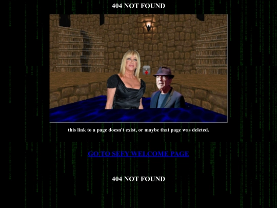 not-found screenshot