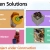 OpenSolutions avatar