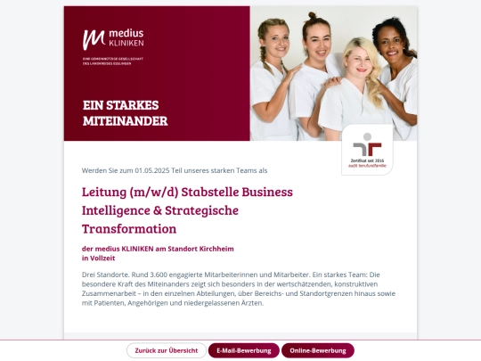businessIntelligenz screenshot
