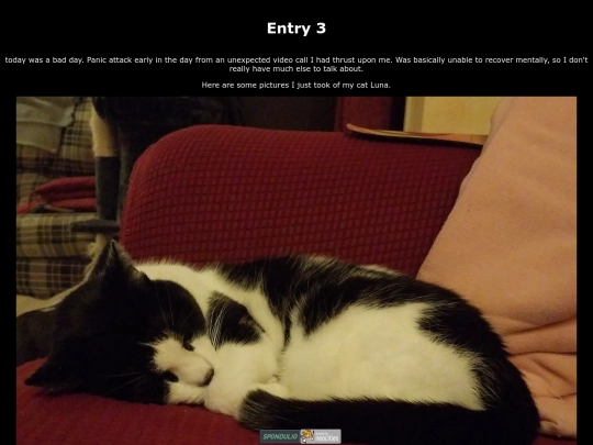 entries/entry3 screenshot