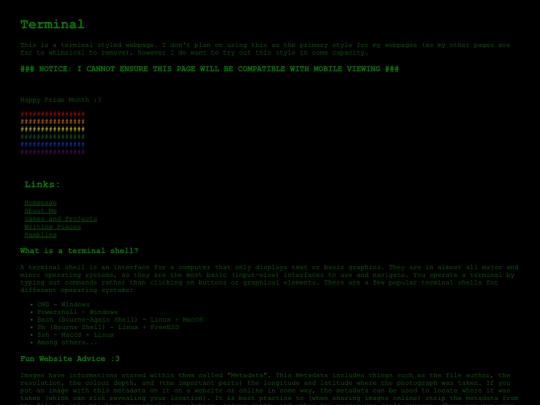 terminal_page screenshot