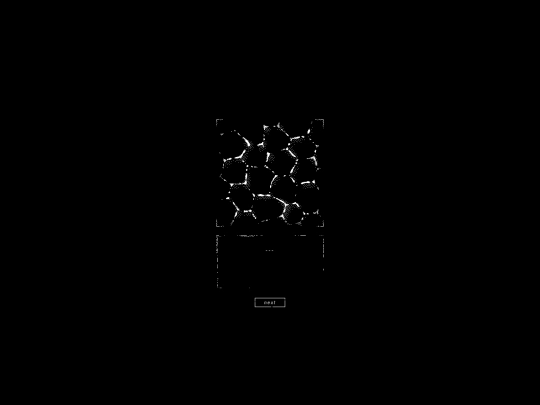 ether/foam screenshot