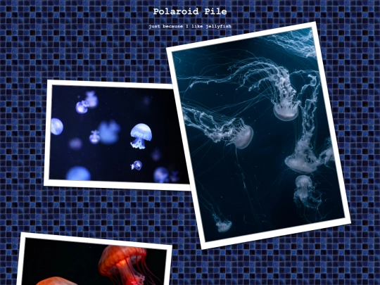 Jellyfish screenshot
