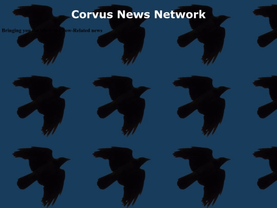 News screenshot