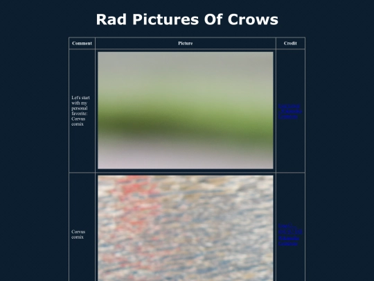 Pictures screenshot