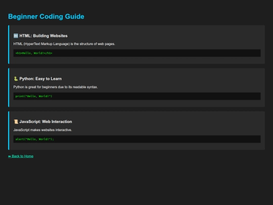 code/beginner screenshot