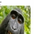 The web site of wolfwind avatar