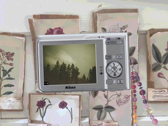photos screenshot