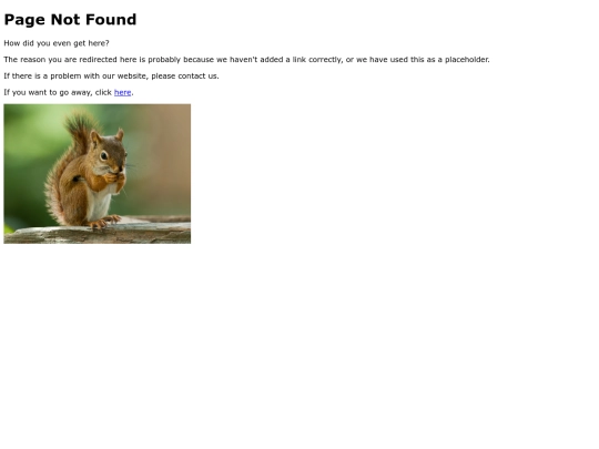 not_found screenshot
