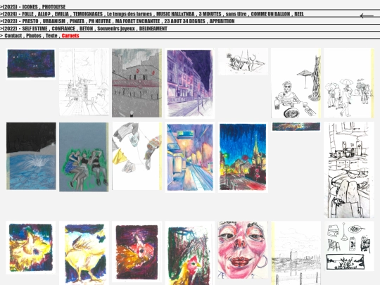 carnets screenshot