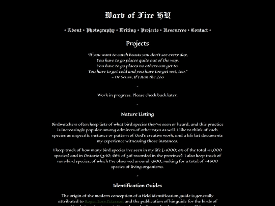projects screenshot