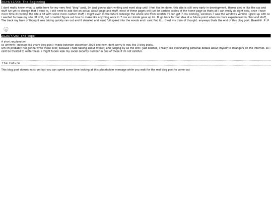 blog screenshot
