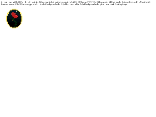 copyofcss screenshot