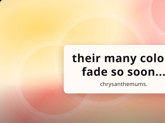 visualtext9 screenshot