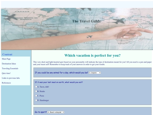 WEBSITE4 screenshot