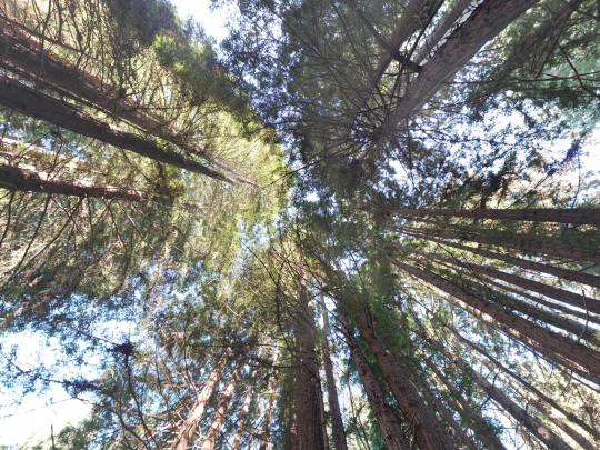 trip screenshot
