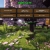 egecraft.yorniq.xyz avatar