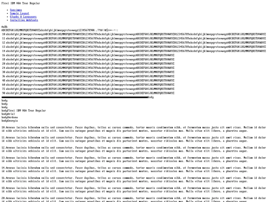 Flexi_IBM_VGA_True/flexi_ibm_vga_true-demo screenshot