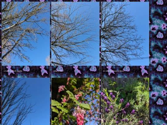 photos screenshot