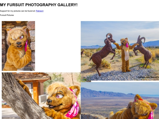 fursuitgallery screenshot