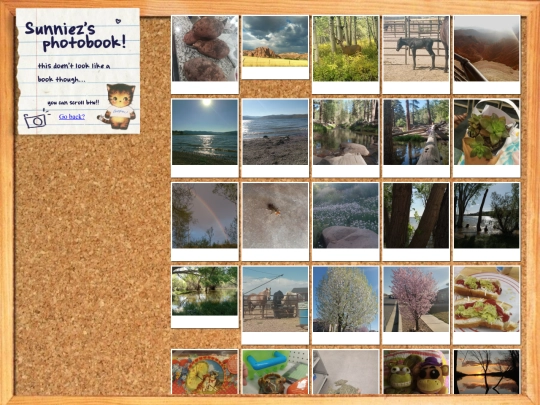 gallery/photobook screenshot
