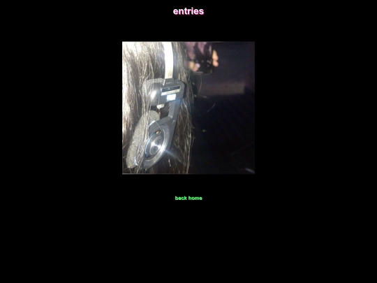 entries screenshot