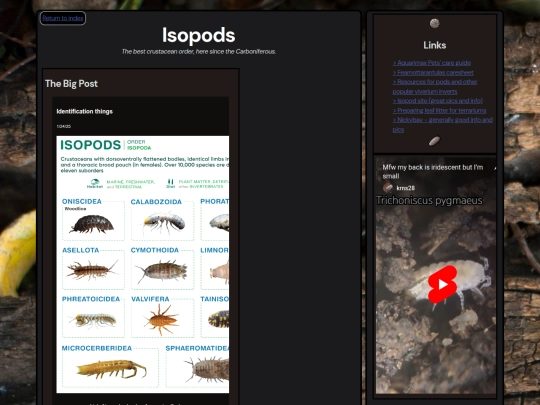 pages/isopods screenshot