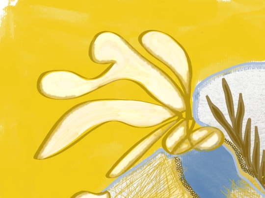 Gallery/Movingimage screenshot