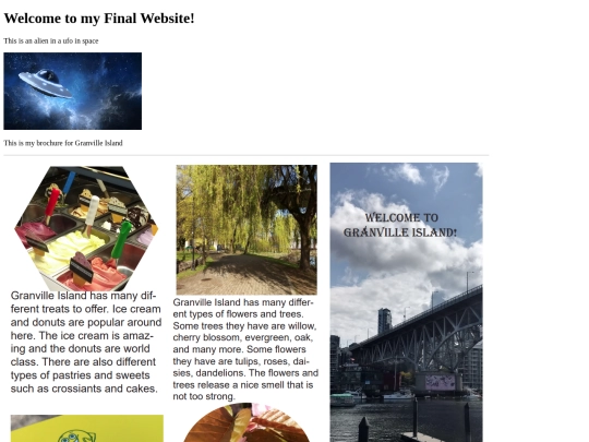Final Assignment/finalassignment screenshot