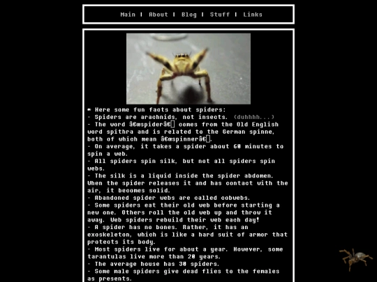 stuff/spiders/facts screenshot