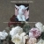 The web site of powercorruptionandlies avatar
