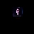 kittysstuff.yorniq.xyz avatar