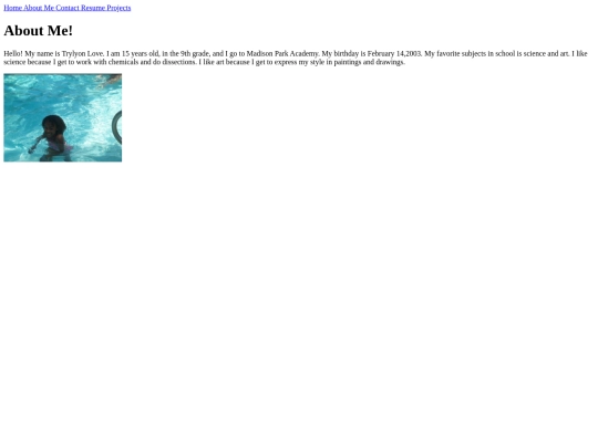 Portfolio/about screenshot