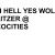 wolfblitzer.yorniq.xyz avatar