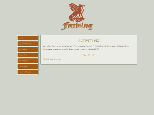 activity screenshot