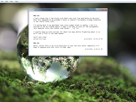 pages/blog screenshot